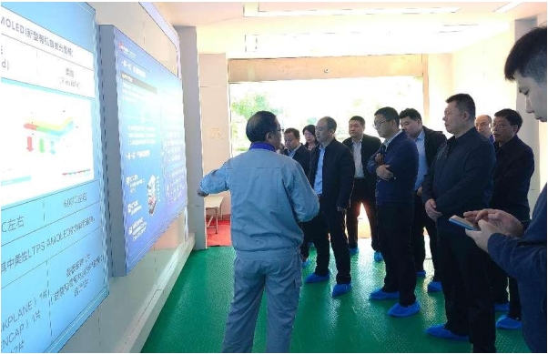 集團領導赴蕪湖東旭光電科技有限公司考察